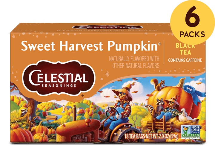 Sweet Harvest Pumpkin Black Tea